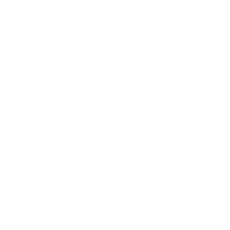 Alif Alif FM official National Auto Award partner logo